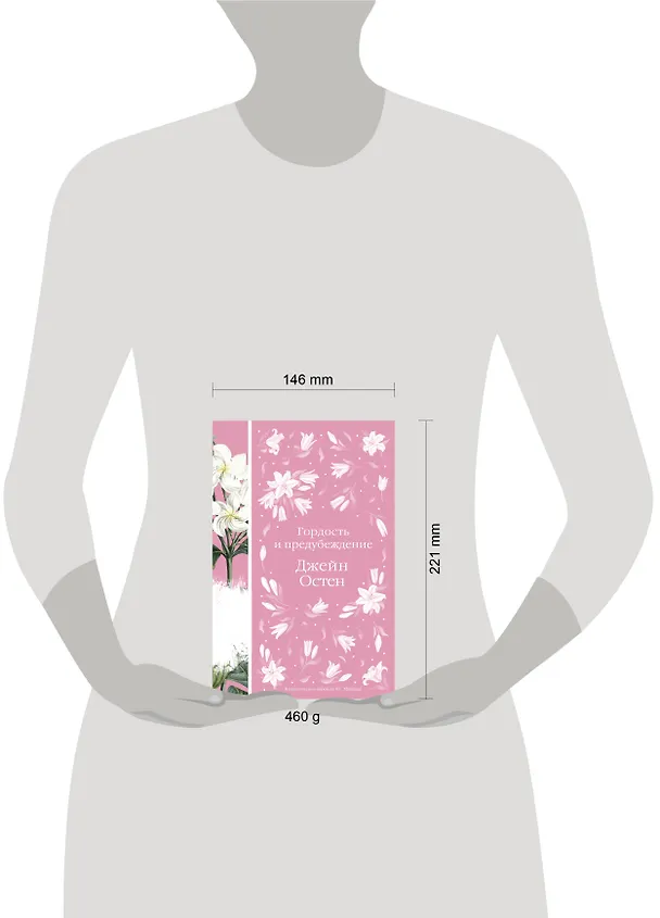 Книга Гордость и предубеждение (Джейн Остен) — 17