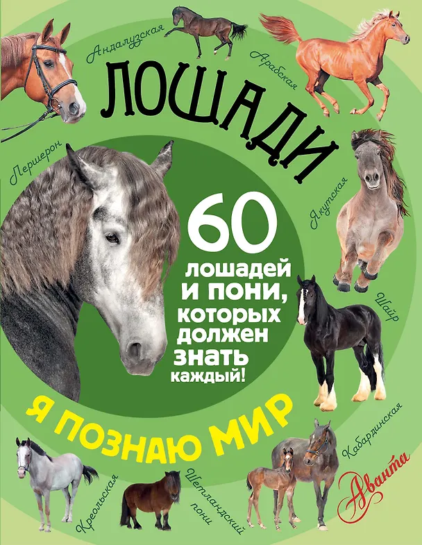 Книга Лошади () — 1