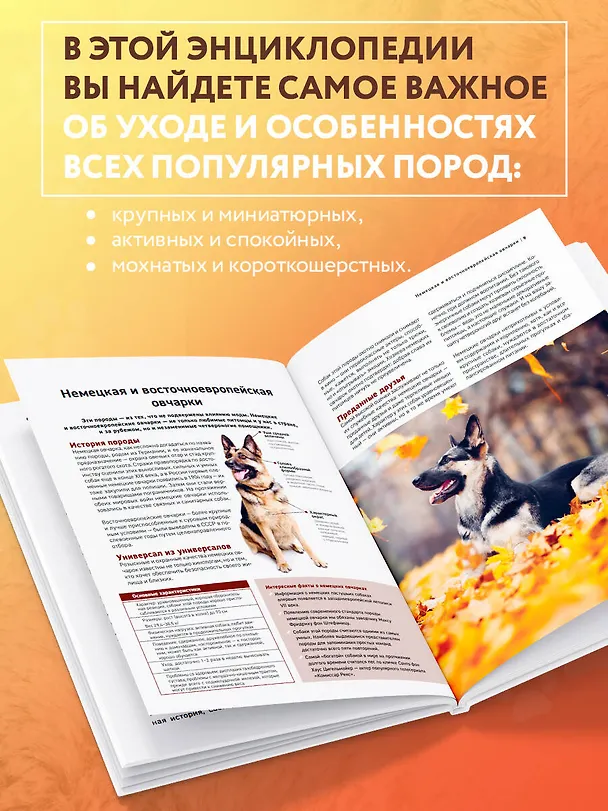 Книга Самые известные породы. СОБАКИ. Большая иллюстрированная энциклопедия (Галина Сула) — 7