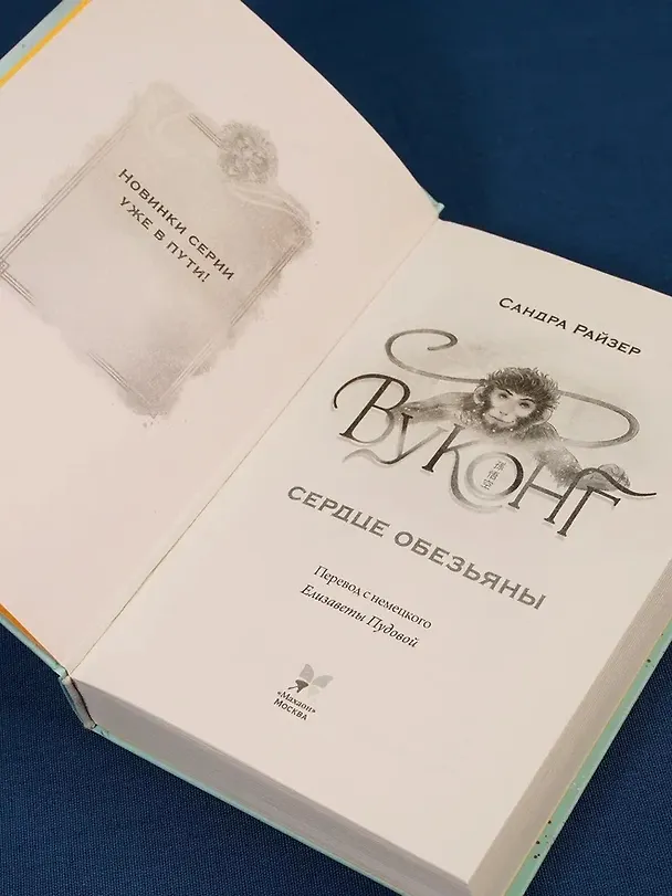 Книга Вуконг. Сердце обезьяны (Сандра Райзер) — 10