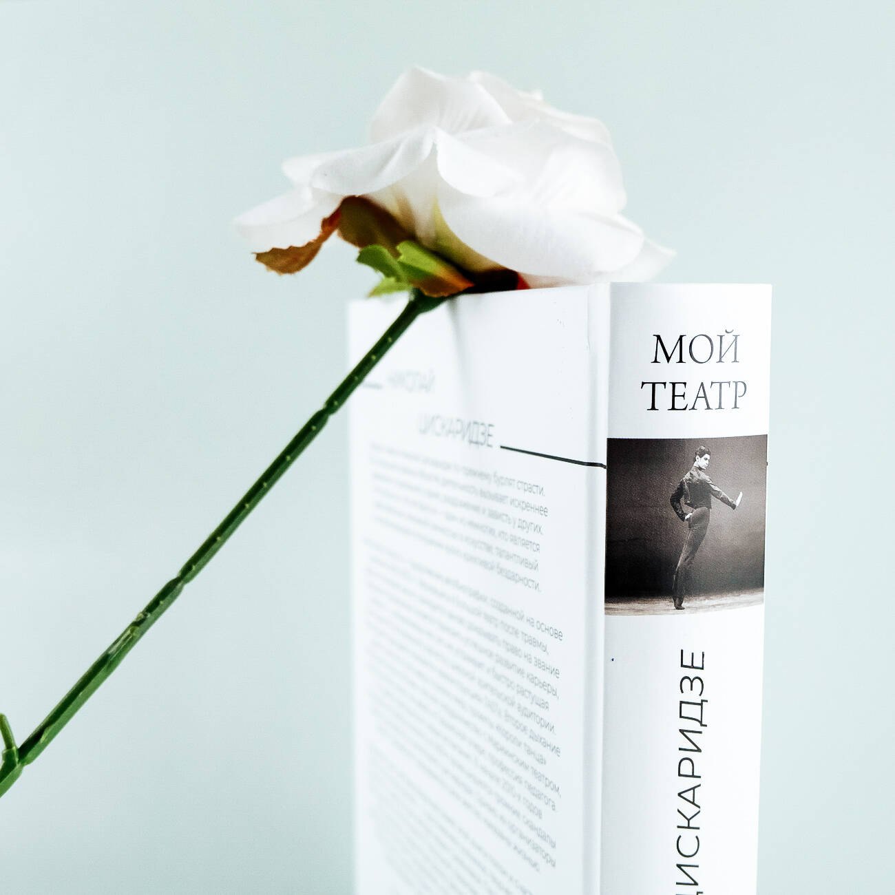 Изображение бумажной книги