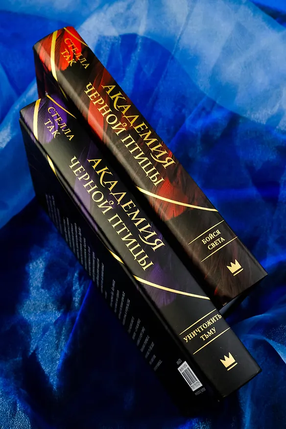 Книга Академия Черной птицы. Бойся света (Стелла Алиссия Так) — 7