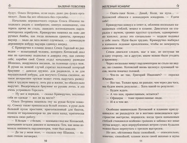 Книга Железный комбриг (ВоенПрикл) Поволяев (Валерий Поволяев) — 5