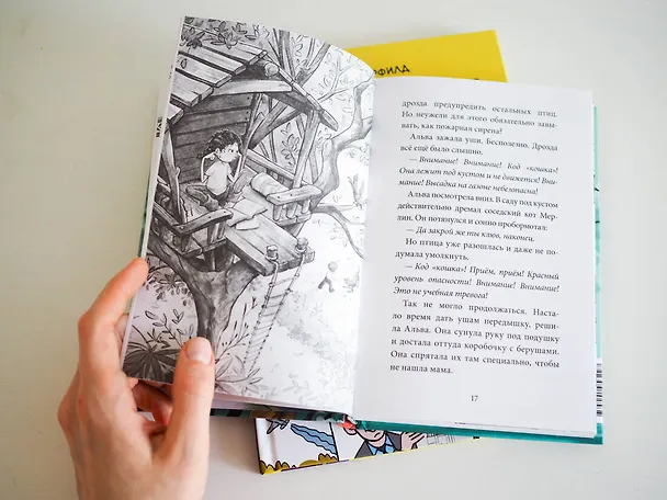 Книга Школа талантов. Урок первый: зверский шум! (Зильке Шельхаммер) — 10