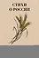 Стихи о России — 3034539 — 1