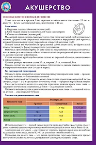 Акушерство