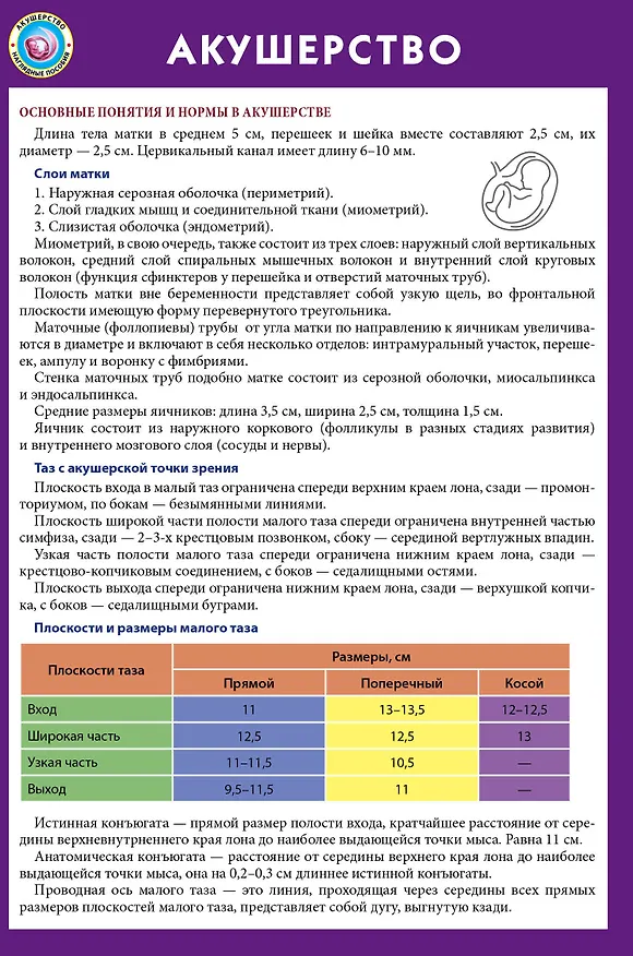 Книга Акушерство () — 1