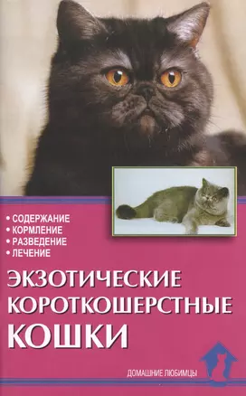 Экзотические короткошерстные кошки. Содержание. Кормление. Разведение. Лечение — 2426238 — 1