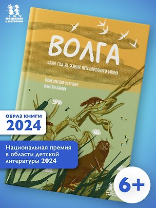 Книга Волга: один год из жизни пресноводного биома (Юрий Маслов-Острович)