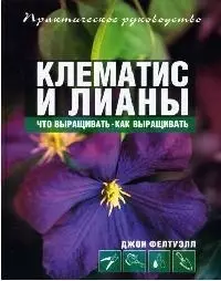 Клематис и лианы — 2075542 — 1