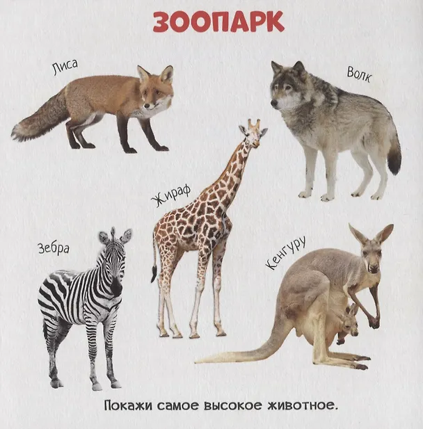 Книга Знакомство с окружающим миром () — 4