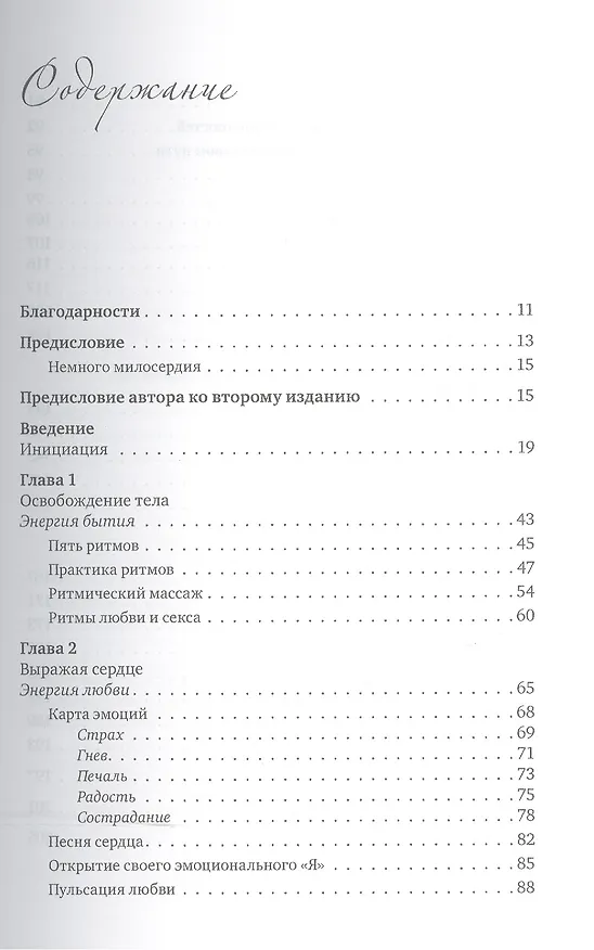 Книга В поисках экстаза Целительный путь неукрощенного духа (м) Рот (Габриэлла Рот) — 2