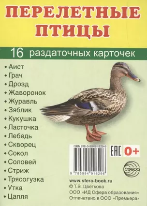 Перелетные птицы. 16 раздаточных карточек с текстом на русском и английском языках — 2614238 — 1