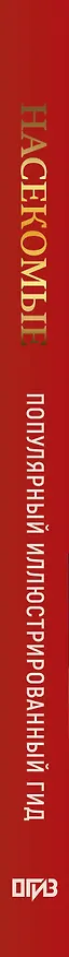 Книга Насекомые. Иллюстрированный гид (Анна Спектор) — 4