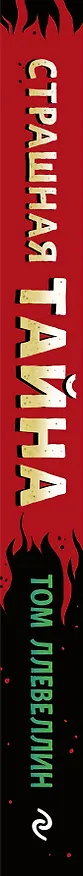 Книга Страшная тайна (Том Ллевеллин) — 3