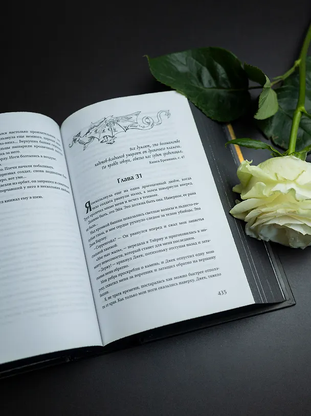 Книга Железное пламя (Ребекка Яррос) — 10