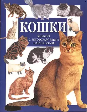 Кошки. Книжка с многоразовыми наклейками — 100413 — 1