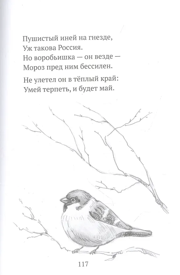 Книга Тимошины чудеса: Зима! (Владислав Бахревский) — 8
