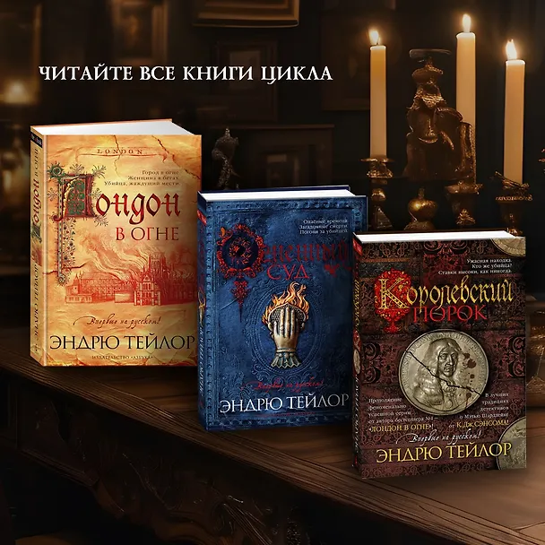 Книга Последний защитник (Эндрю Тейлор) — 11