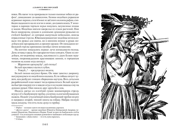 Книга «Томек у истоков Амазонки» и другие удивительные приключения (Альфред Шклярский) — 15