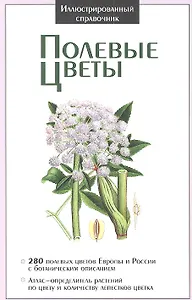 Полевые цветы