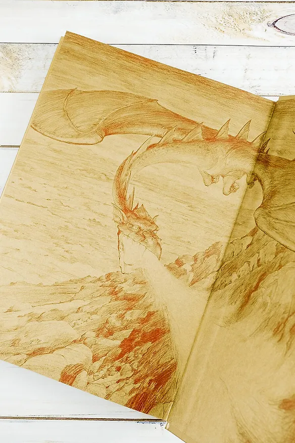 Книга Хоббит, или туда и обратно (новое оформление) с иллюстрациями Дениса Гордеева (Джон Рональд Руэл Толкин) — 14