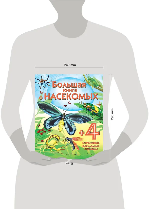 Книга Большая книга о насекомых (Эмили Боун) — 5