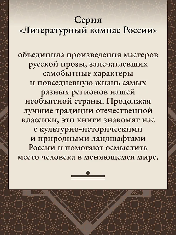Книга Скитники. Золото Алдана (Камиль Зиганшин) — 8