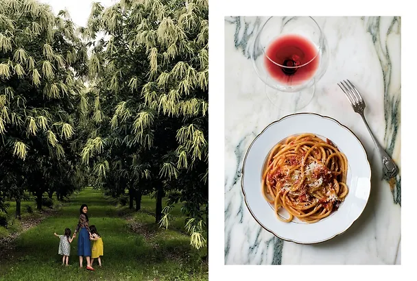 Книга Итальянская классика. Рецепты и вкусные традиции от Турина до Сицилии (Мими Ториссон) — 5