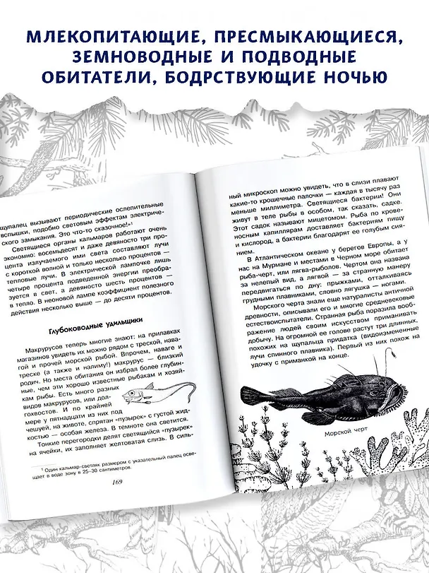 Книга С вечера до утра (Игорь Акимушкин) — 5