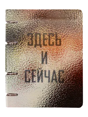Тетрадь 80л кл. "Здесь и сейчас" на кольцах, мел.картон, глянц.ламинация, квадр.корешок, скругл.углы 3084263