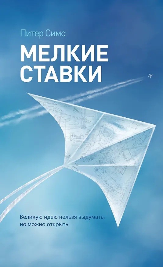 Книга Мелкие ставки. Великую идею нельзя выдумать, но можно открыть (Питер Симс) — 1