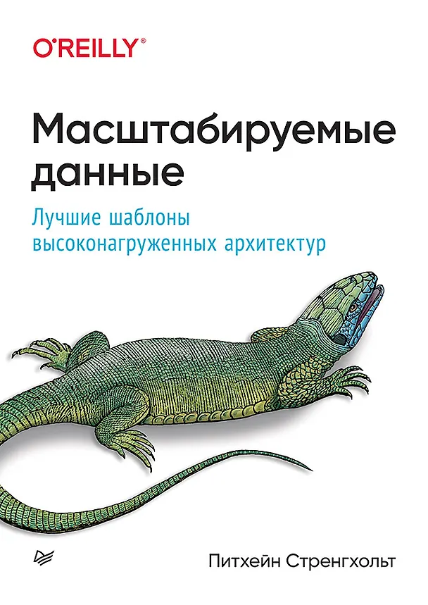Книга Масштабируемые данные. Лучшие шаблоны высоконагруженных архитектур (Питхейн Стренгхольт) — 1