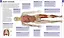 Human Anatomy — 2890956 — 3