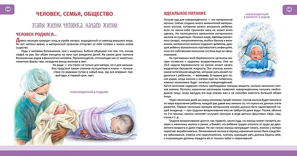 Книга Человек. Полная энциклопедия (Юлия Школьник) — 12