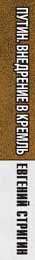 Книга Путин. Внедрение в Кремль (Евгений Стригин) — 3