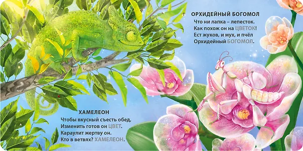 Книга Животные - невидимки. Загадки-рифмы (Евгений Сосновский) — 5
