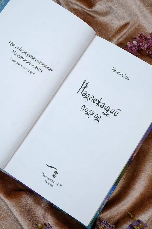 Книга Надлежащий подход (Ирина Сон) — 11