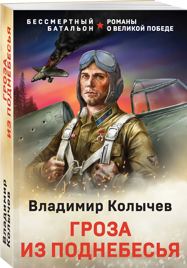 Книга Гроза из поднебесья (Владимир Колычев) — 4