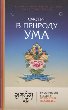 Смотри в природу ума. Классический учебник по практике Махамудры — 2446867 — 1