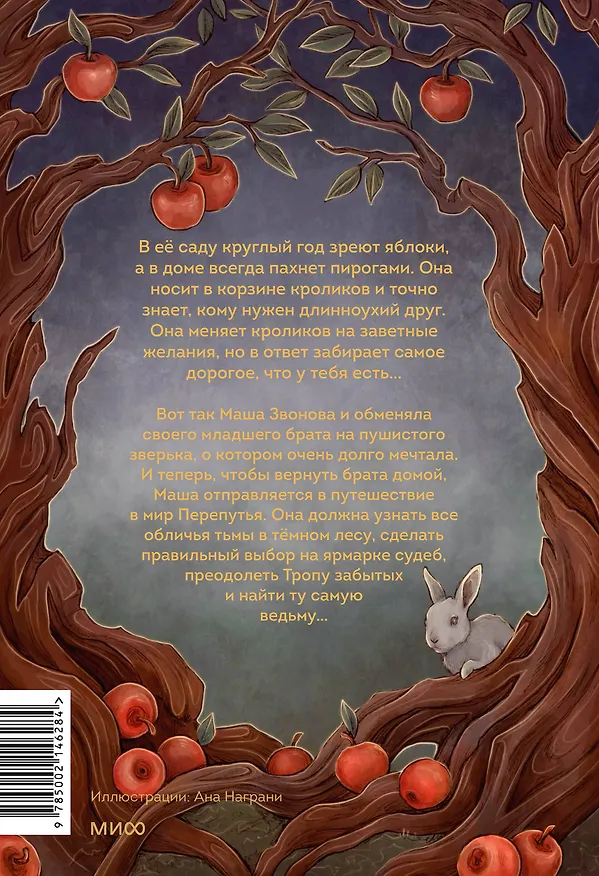 Книга Хроники Перепутья (Алиса Аве) — 2