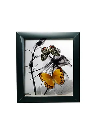 Панно Бабочки (24х29) (101054) 2398647