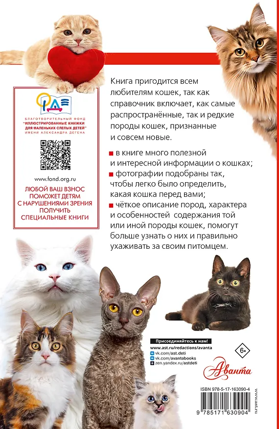 Книга Литература с видео-уроками (Анна Михальская) — 2