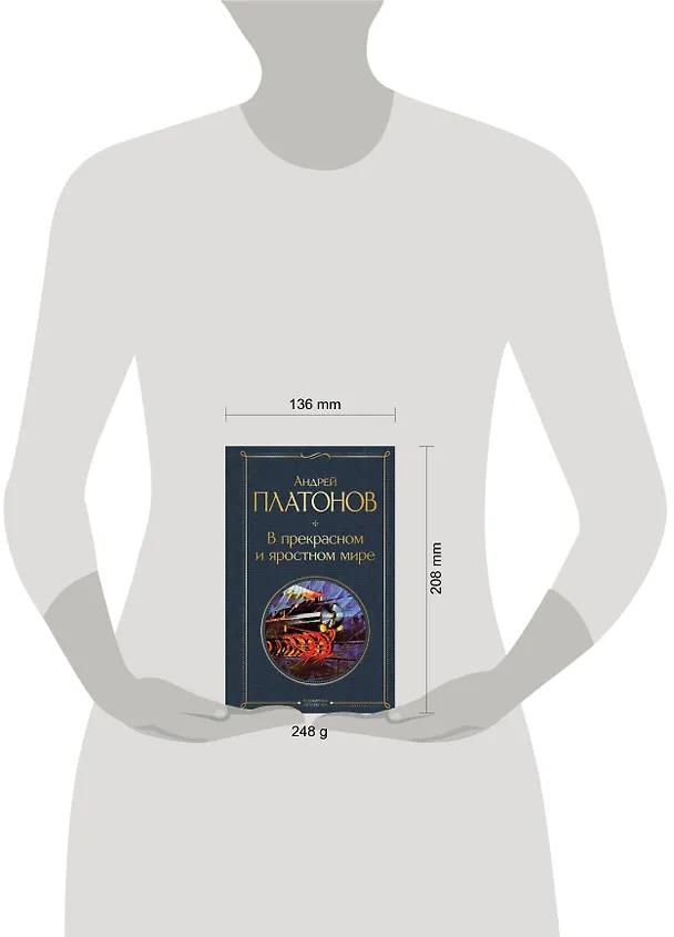 Книга В прекрасном и яростном мире (Андрей Платонов) — 8