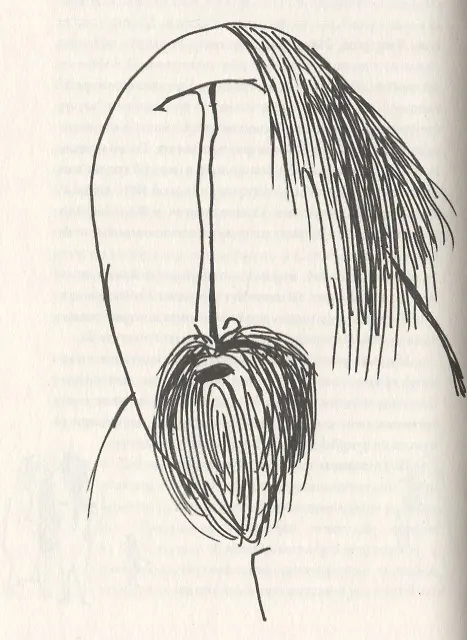 Книга Завирухи Шишова переулка (2 изд.) (ОтделИзд) Кочергин (Эдуард Кочергин) — 4