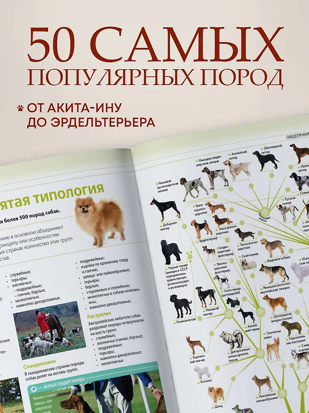 Книга Собаки. Подарочная иллюстрированная энциклопедия (новое оформление) (Андрей Шкляев) — 5