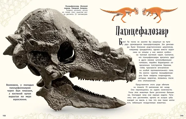 Книга Динозавры и другие доисторические животные. Энциклопедия (Анусия Чинсами-Тюран) — 11