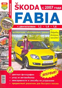 Skoda Fabia цв. фото с 2007г.