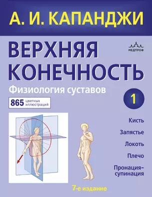 Верхняя конечность. Физиология суставов (обновленное издание) — 2813943 — 1