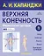 Верхняя конечность. Физиология суставов (обновленное издание) — 2813943 — 1